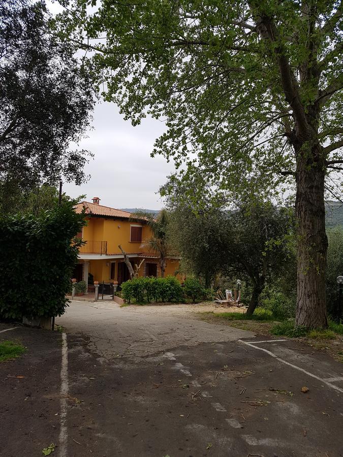 San Pietro Bed & Breakfast Mileto Bagian luar foto
