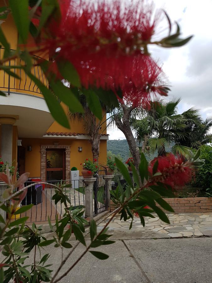 San Pietro Bed & Breakfast Mileto Bagian luar foto