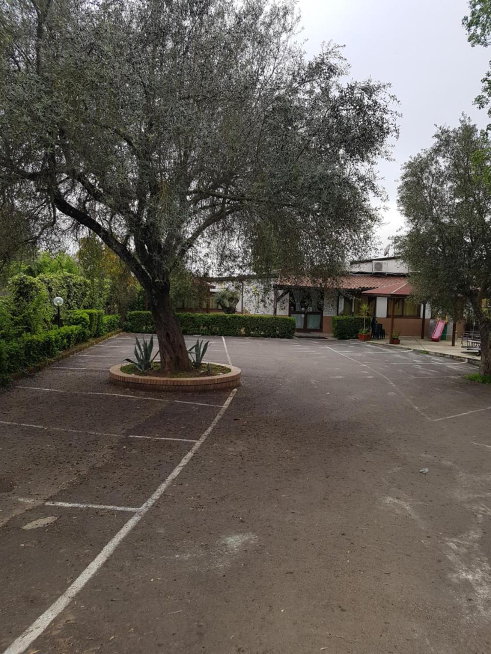 San Pietro Bed & Breakfast Mileto Bagian luar foto